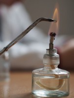 /album/a88/p1010049-small-jpg12/